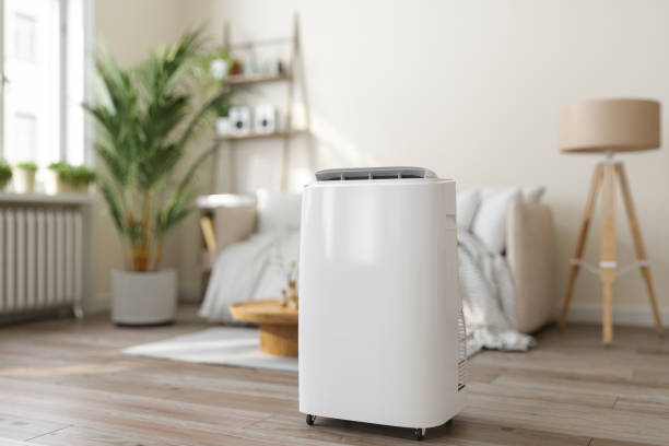 Best HVAC Cleaning Services  in Lenoir, NC
